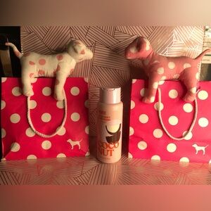 PINK Victoria's Secret Coco Nut Body Wash